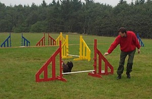 Uffe og Hubert til Agility